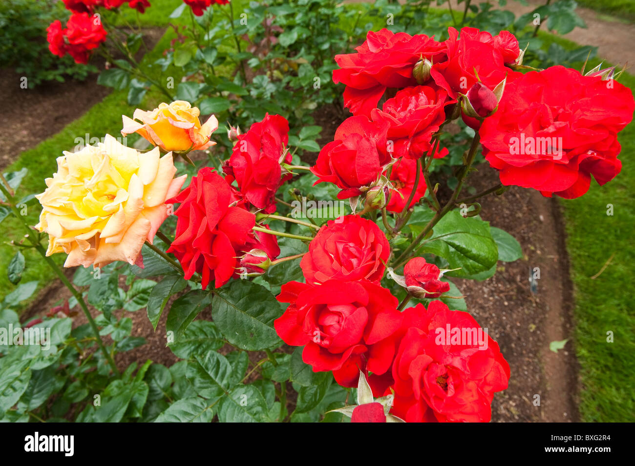 Nova Scotia, Canada. Annapolis Royal Giardini storici. Foto Stock