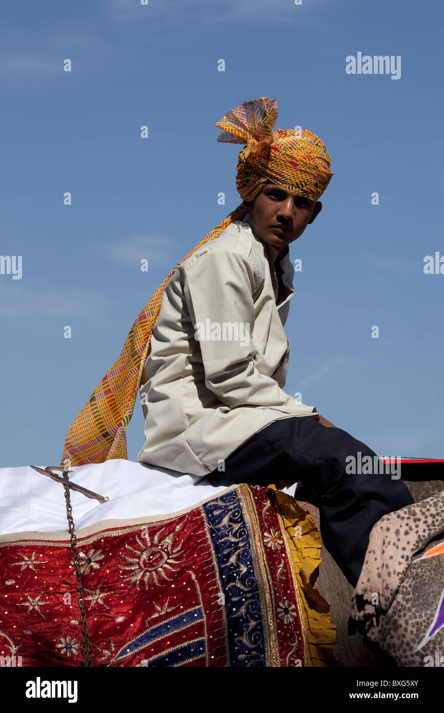 Festival dell'elefante a Jaipur, India. Foto Stock