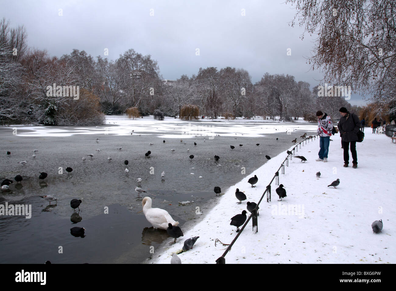 St James Park inverno - Londra Foto Stock