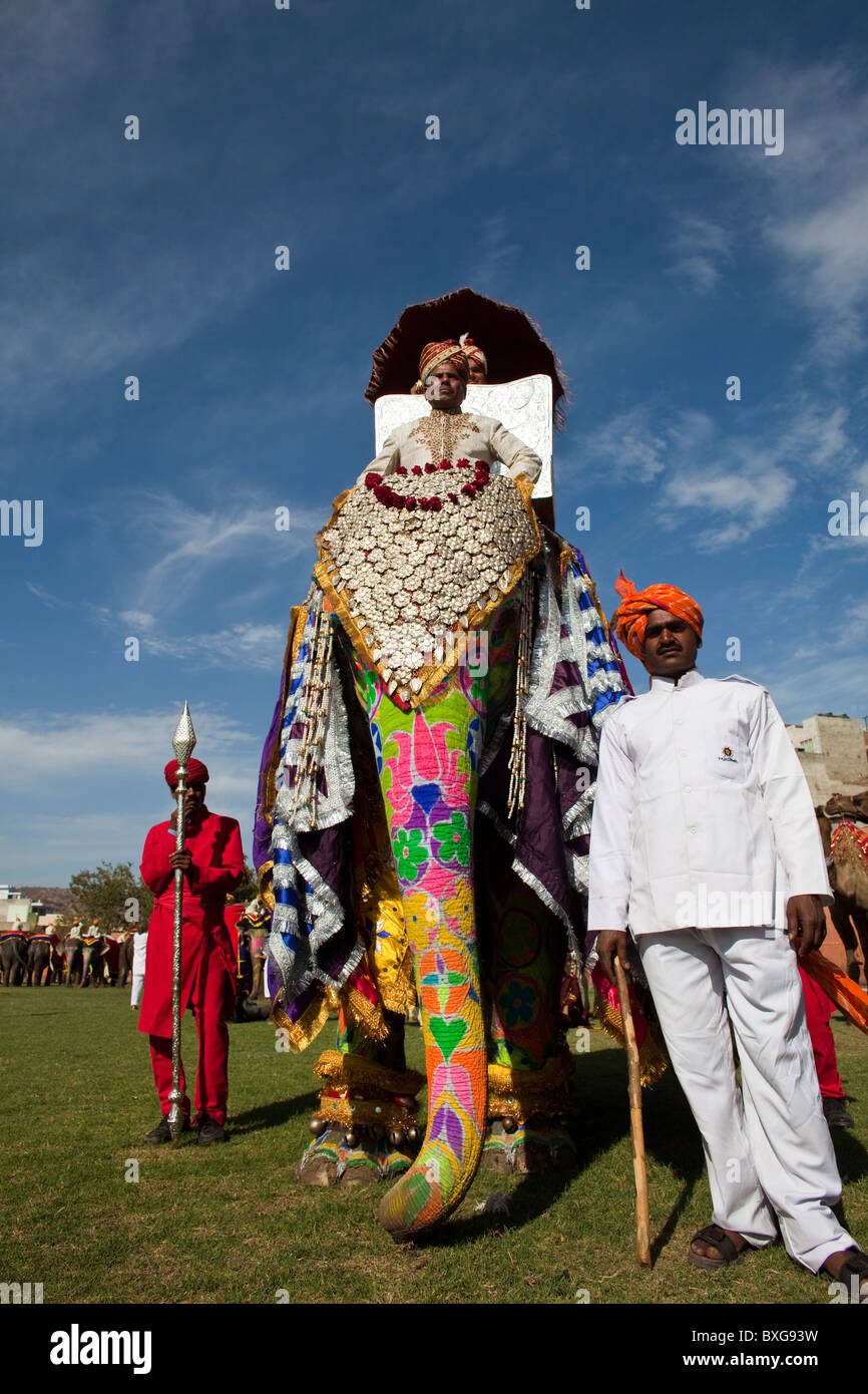 Festival dell'elefante a Jaipur, India. Foto Stock