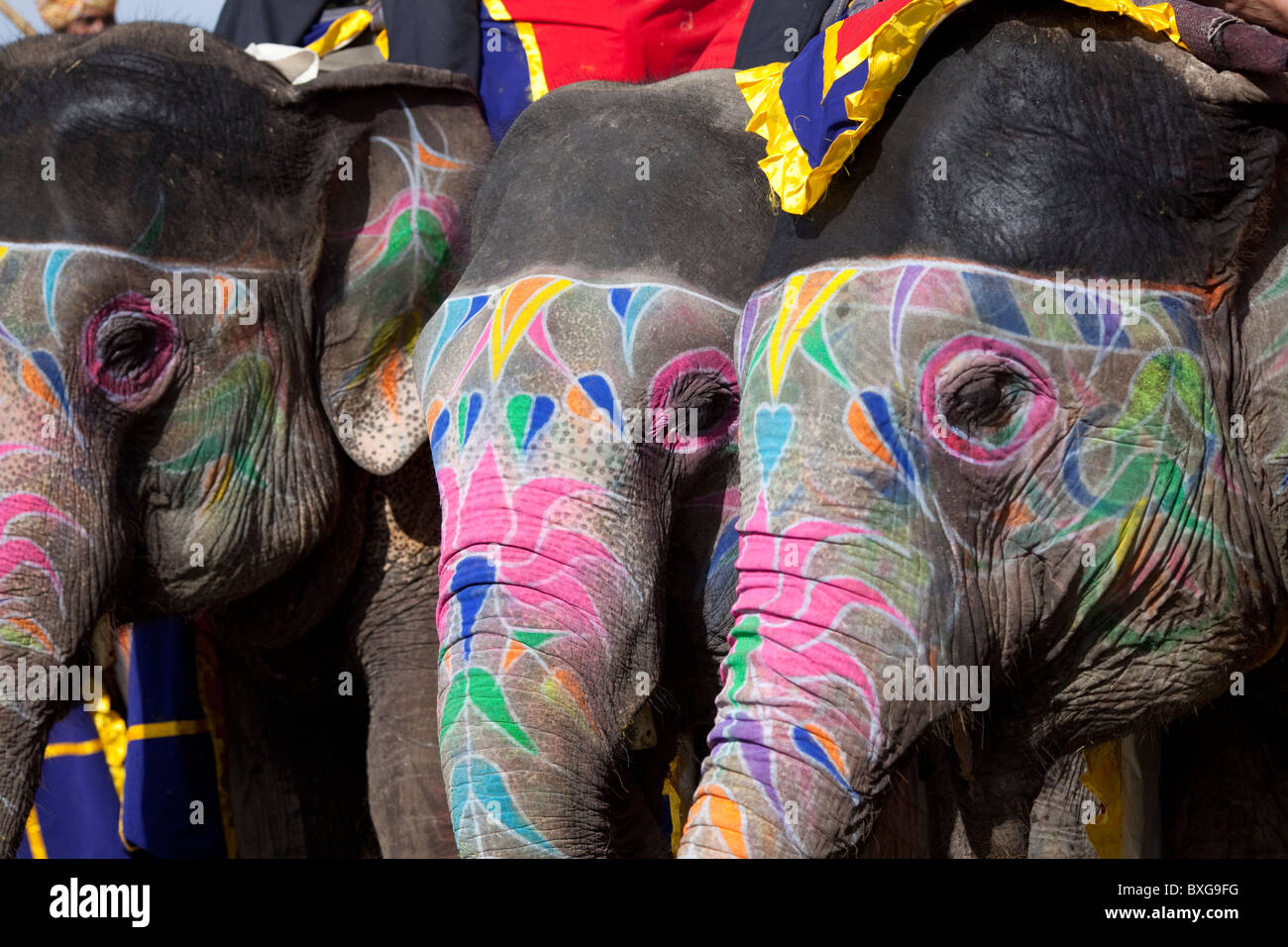 Festival dell'elefante a Jaipur, India. Foto Stock