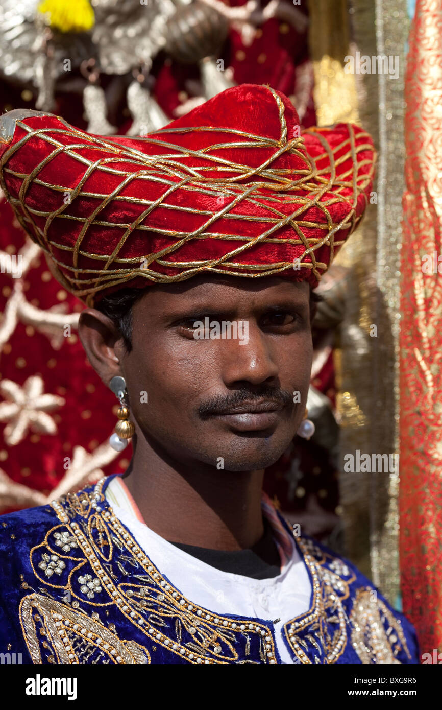 Festival dell'elefante a Jaipur, India. Foto Stock