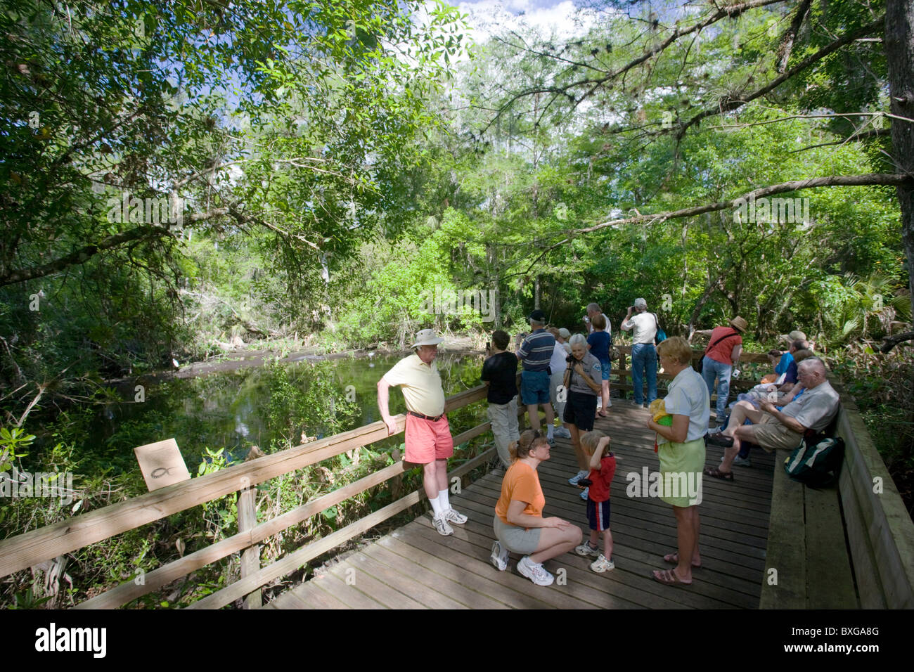 Turisti sul Big Cypress piegare boardwalk a Fakahatchee Strand, Everglades, Florida, Stati Uniti d'America Foto Stock