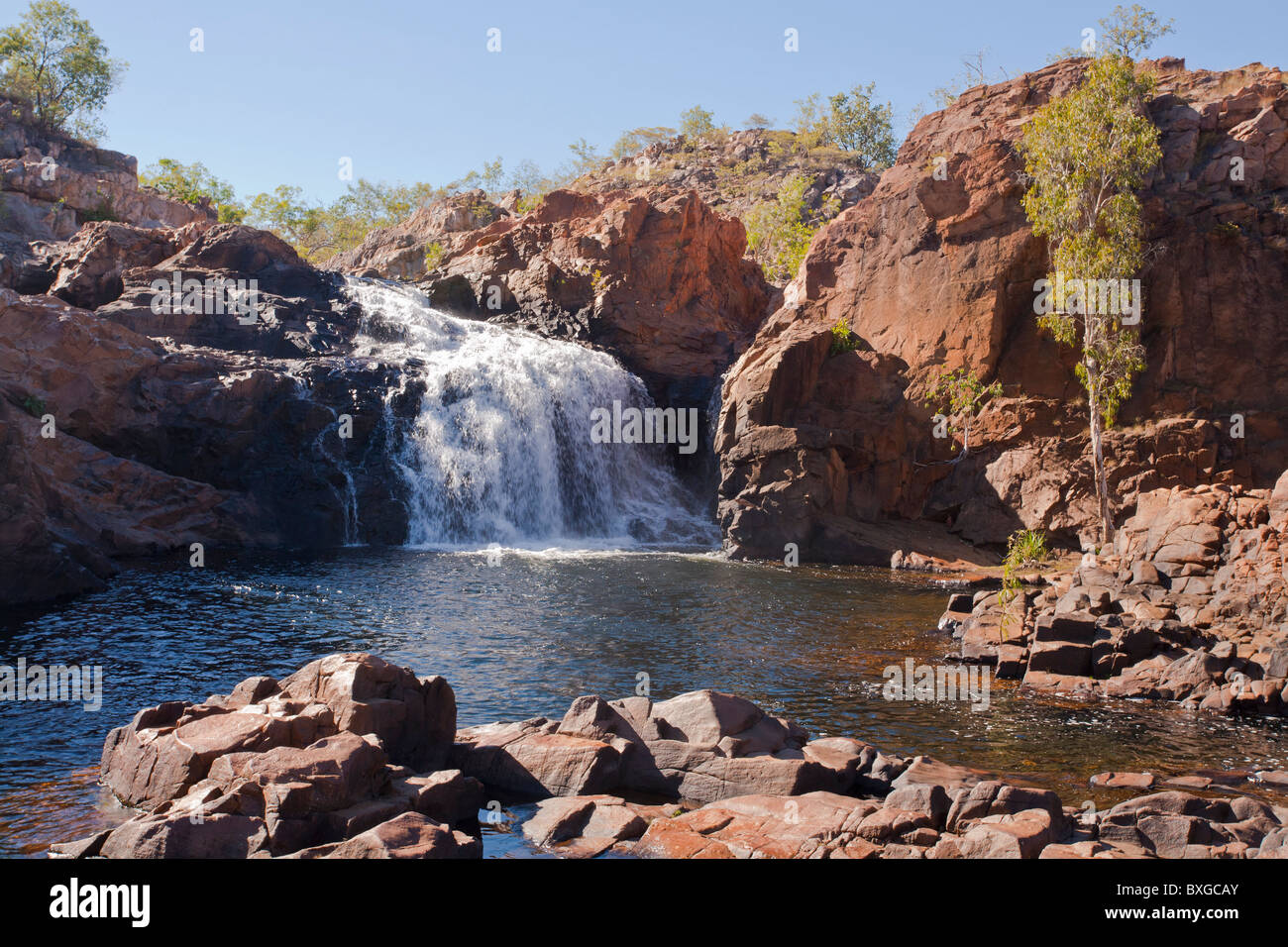 Edith Falls (Leilyn) nel Nitmiluk National Park, Kathertine, Territorio del Nord Foto Stock