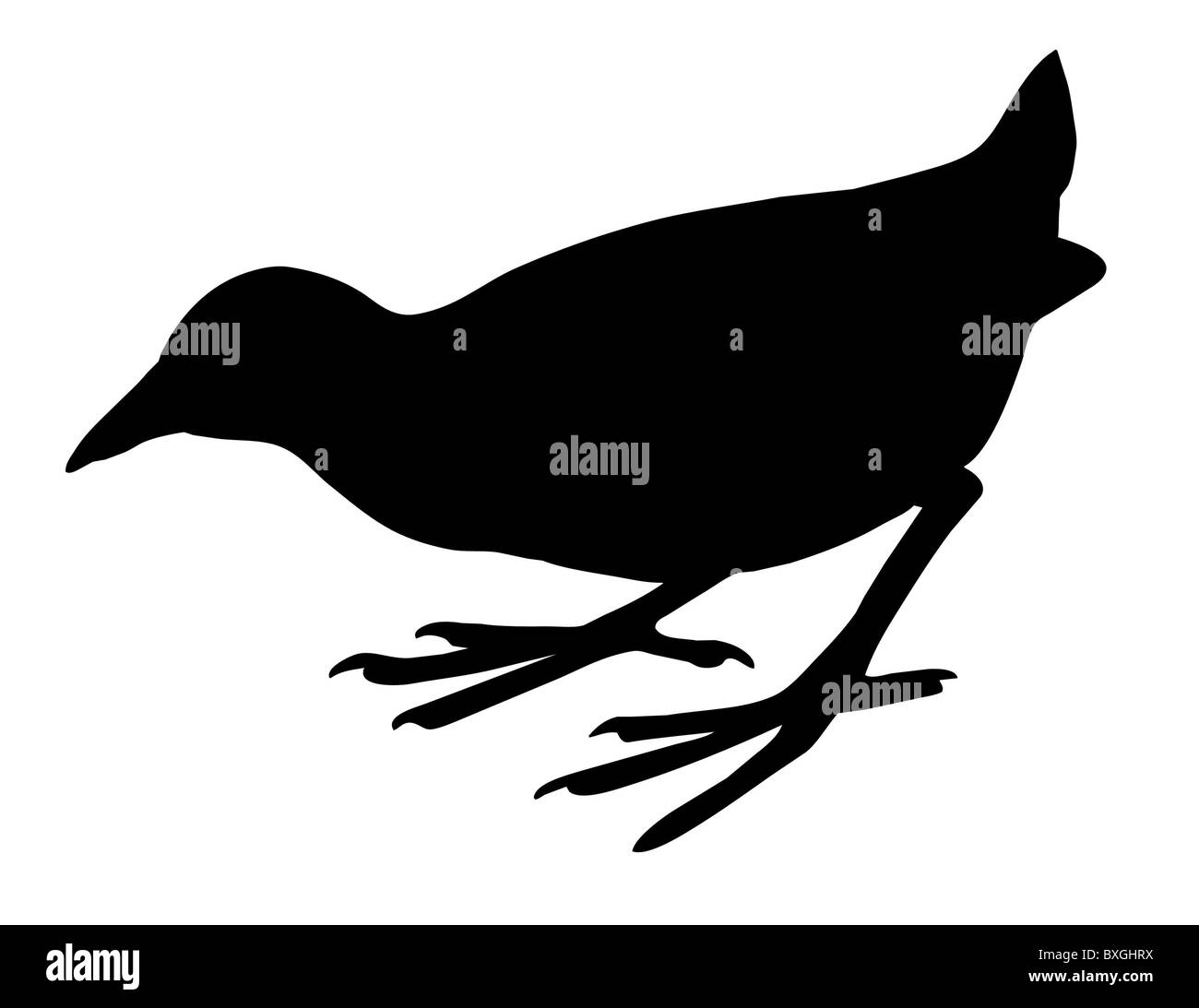 Silhouette di vettore annidato su sfondo bianco Foto Stock