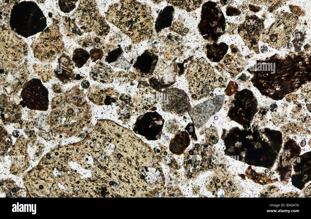 Ceneri vulcaniche dal vulcano Eyjafjallajökull, vista al microscopio a luce trasmessa Foto Stock