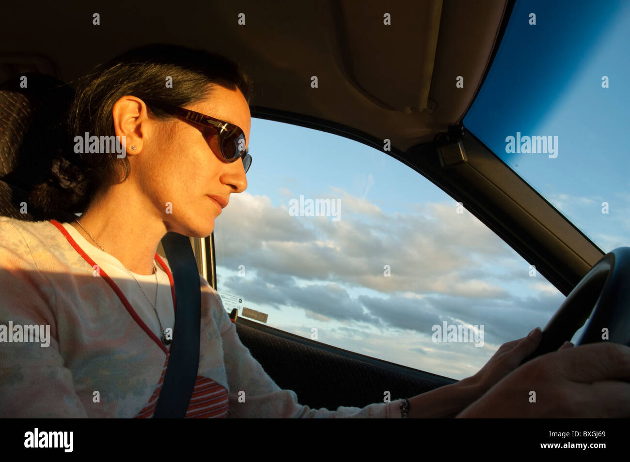 Donna che indossa gli occhiali da sole mentre si guida a casa nella sua auto. Foto Stock