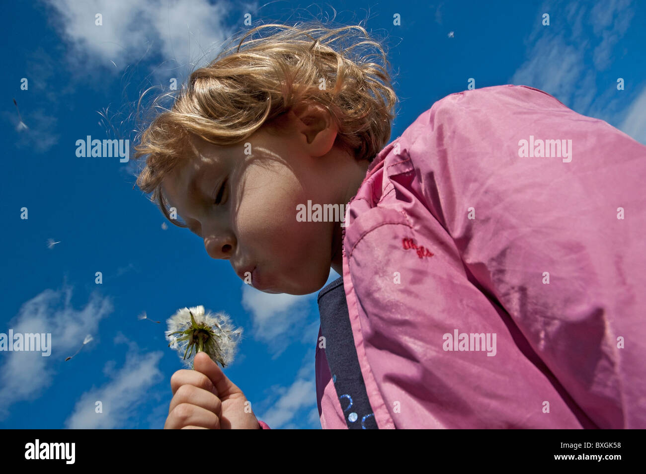 Bambino con dente di leone - bambina soffiando i semi da un fiore di tarassaco all'aperto Foto Stock