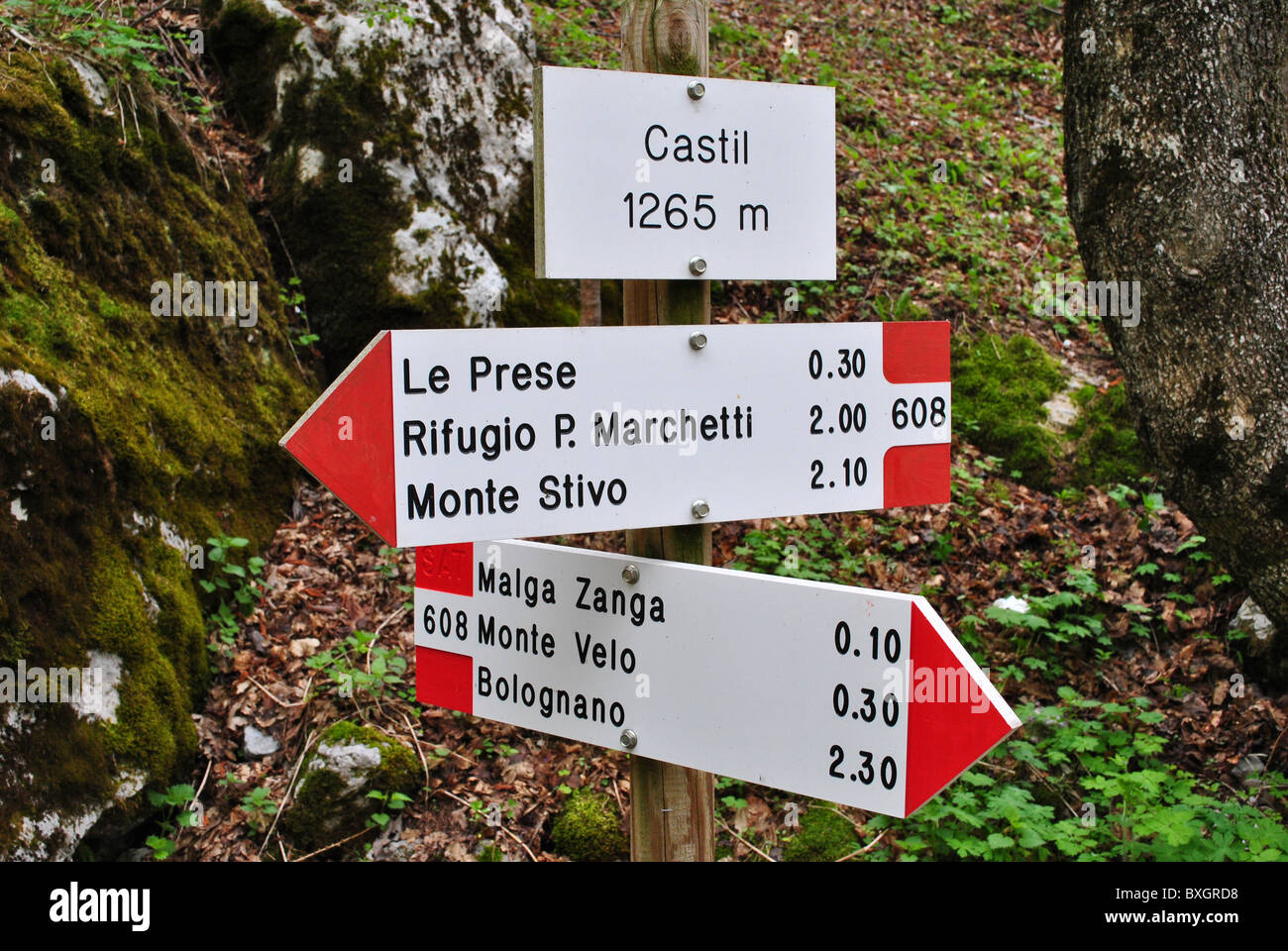 Indicazioni di percorsi di trekking nelle valli del Trentino valle circondata da foreste di pini Gresta. Foto Stock