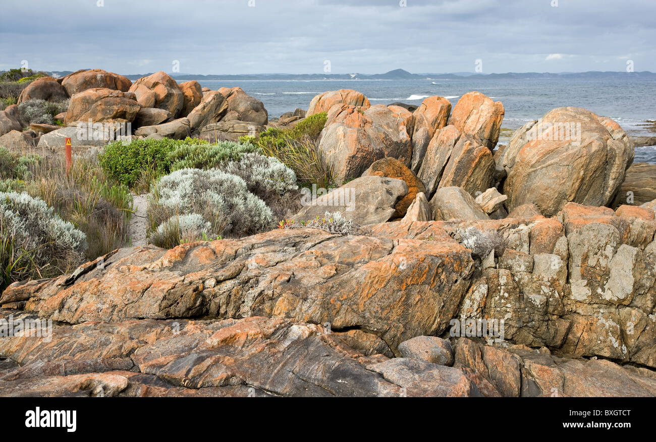 Sezione del Bibbulmun via una lunga distanza a piedi il sentiero qui vicino a Danimarca e tranquilla baia del Western Australia Foto Stock