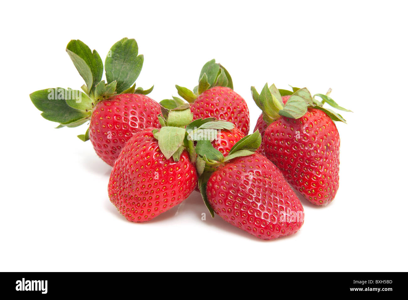 Paio di fragole fresche su sfondo bianco Foto Stock