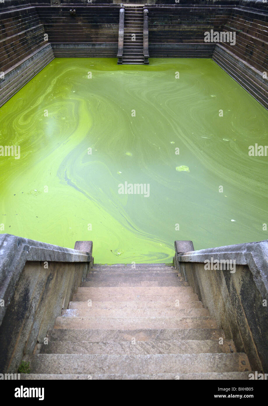 Piscine storico a Kuttam Pokuna, Anuradhapura, Sri Lanka, Asia Foto Stock