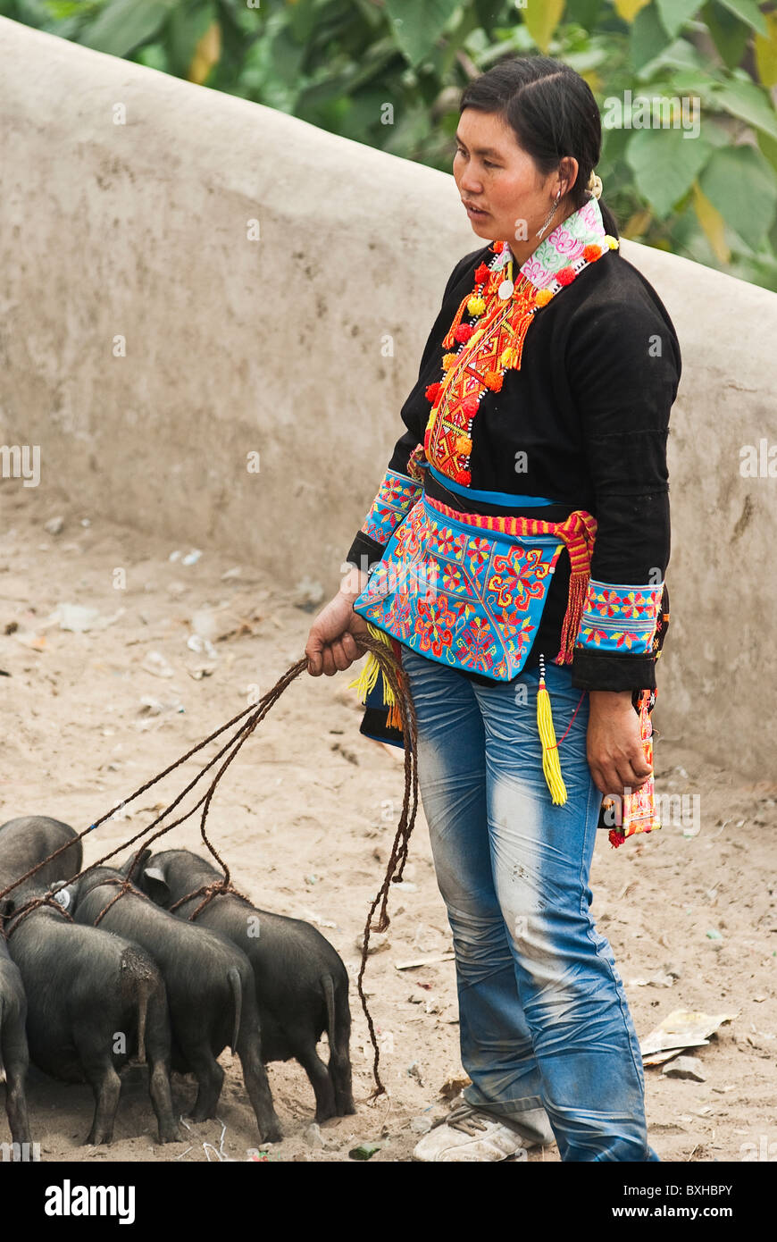 Asia, Cina Yunnan, Honghe Prefettura, Jinping. Red Head Yao donna vendita di suini sul giorno di mercato. Foto Stock