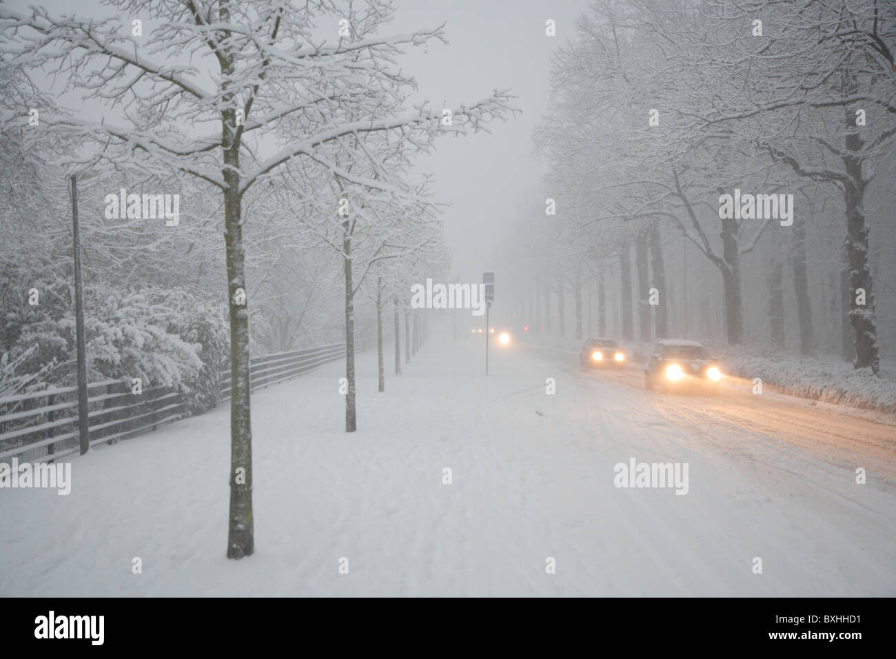 Traffico invernale nella tempesta di neve, l'Aia, Paesi Bassi, Olanda, Europa Foto Stock