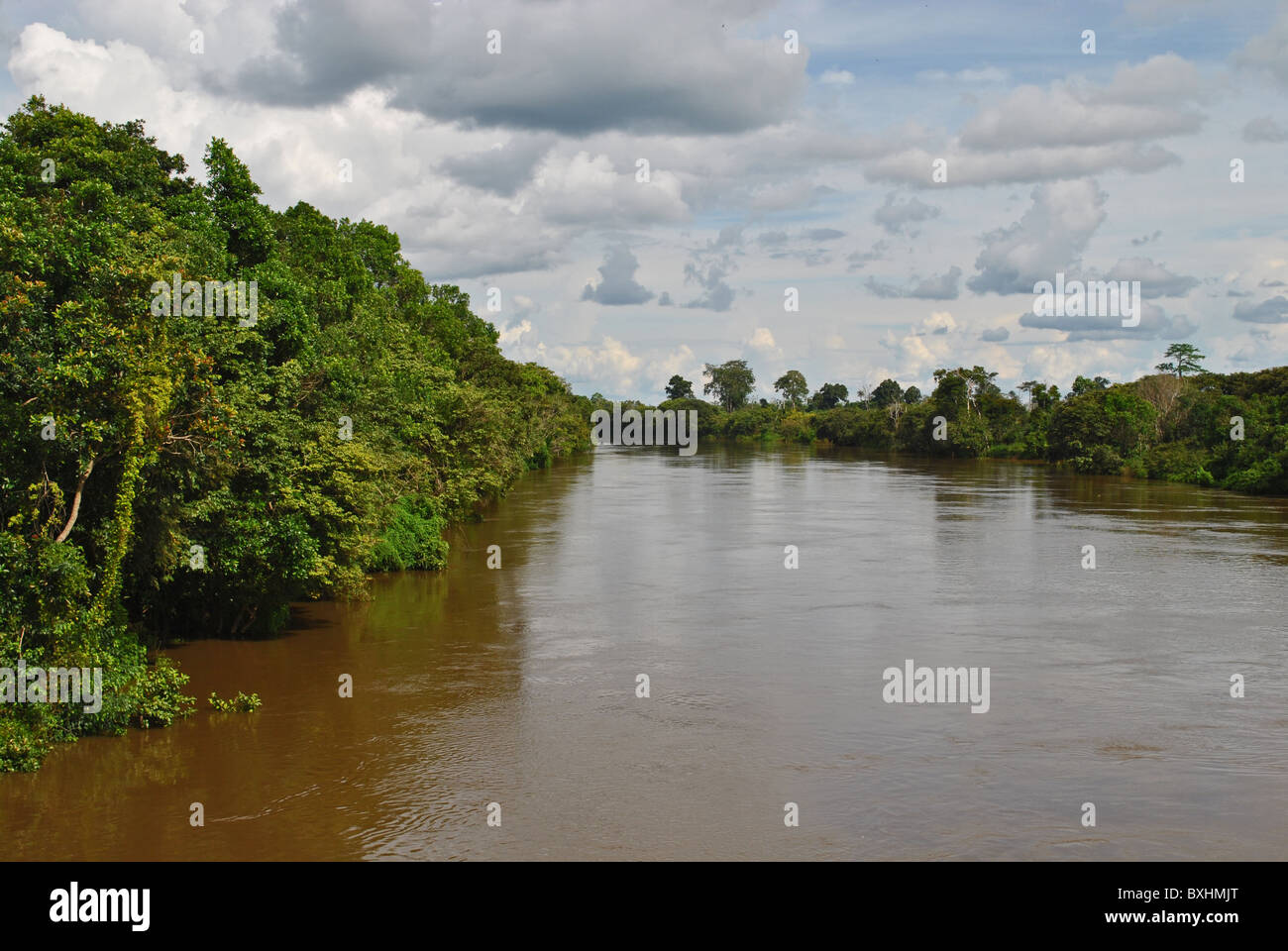 Sassandra fiume che scorre attraverso la pioggia-foresta in Costa d Avorio, Africa occidentale Foto Stock