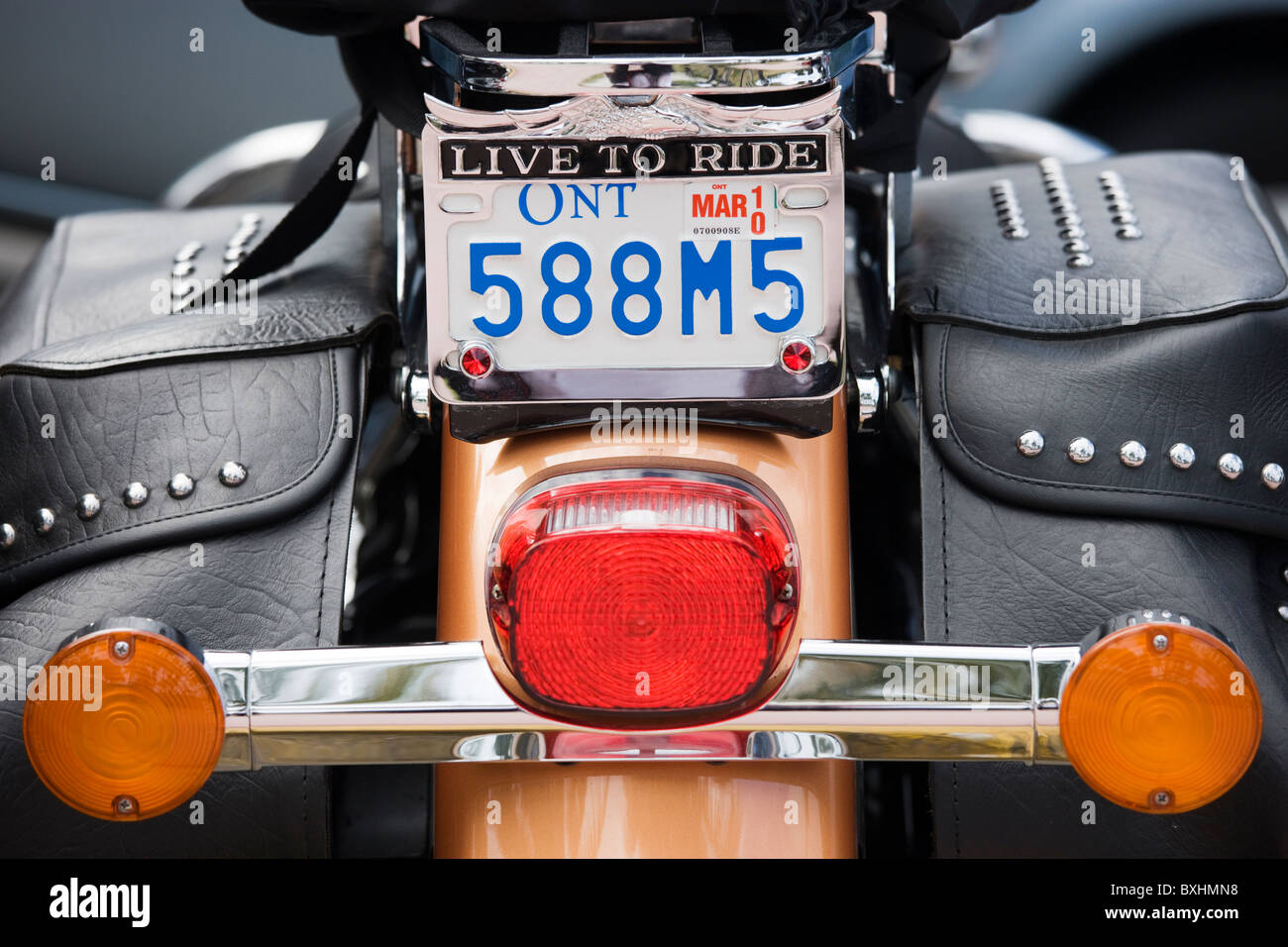 Harley Davidson Road King Classic motociclo con 88 pollici cubi a doppia camma motore, South Beach, Miami, Florida Foto Stock