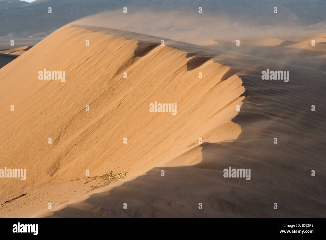 Dune di sabbia (ERG) nel deserto del Sahara causato da processi eoliano che mostra la sabbia viene soffiato da dune dal vento. Il Marocco. Foto Stock