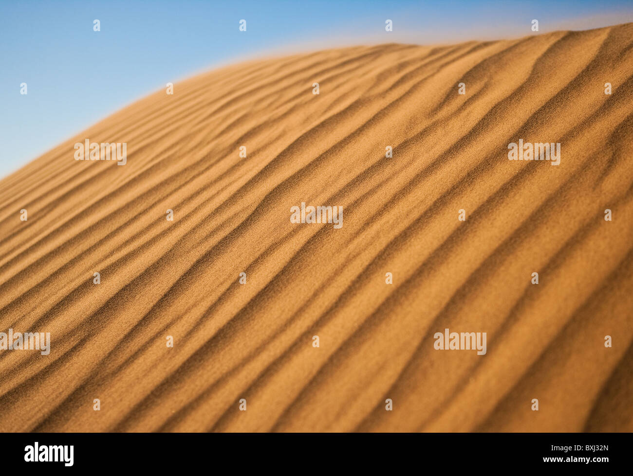Dune di sabbia (Erg) nel deserto del Sahara causato da processi eolie. Il Marocco. Foto Stock