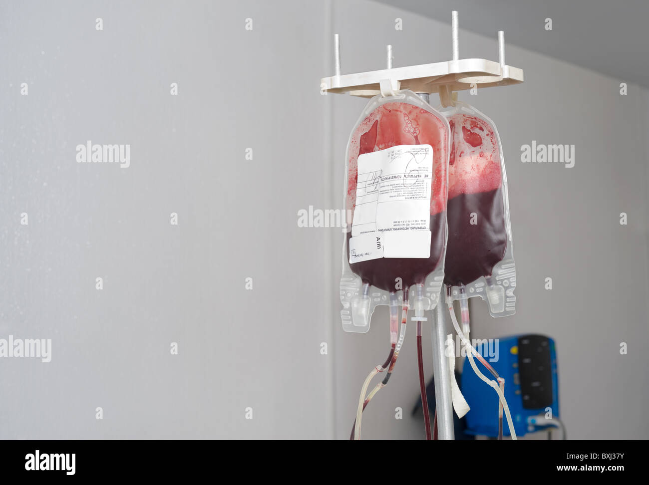 Gli imballaggi trasparenti appese su rack vengono riempiti con il sangue del donatore, spazio di copia Foto Stock