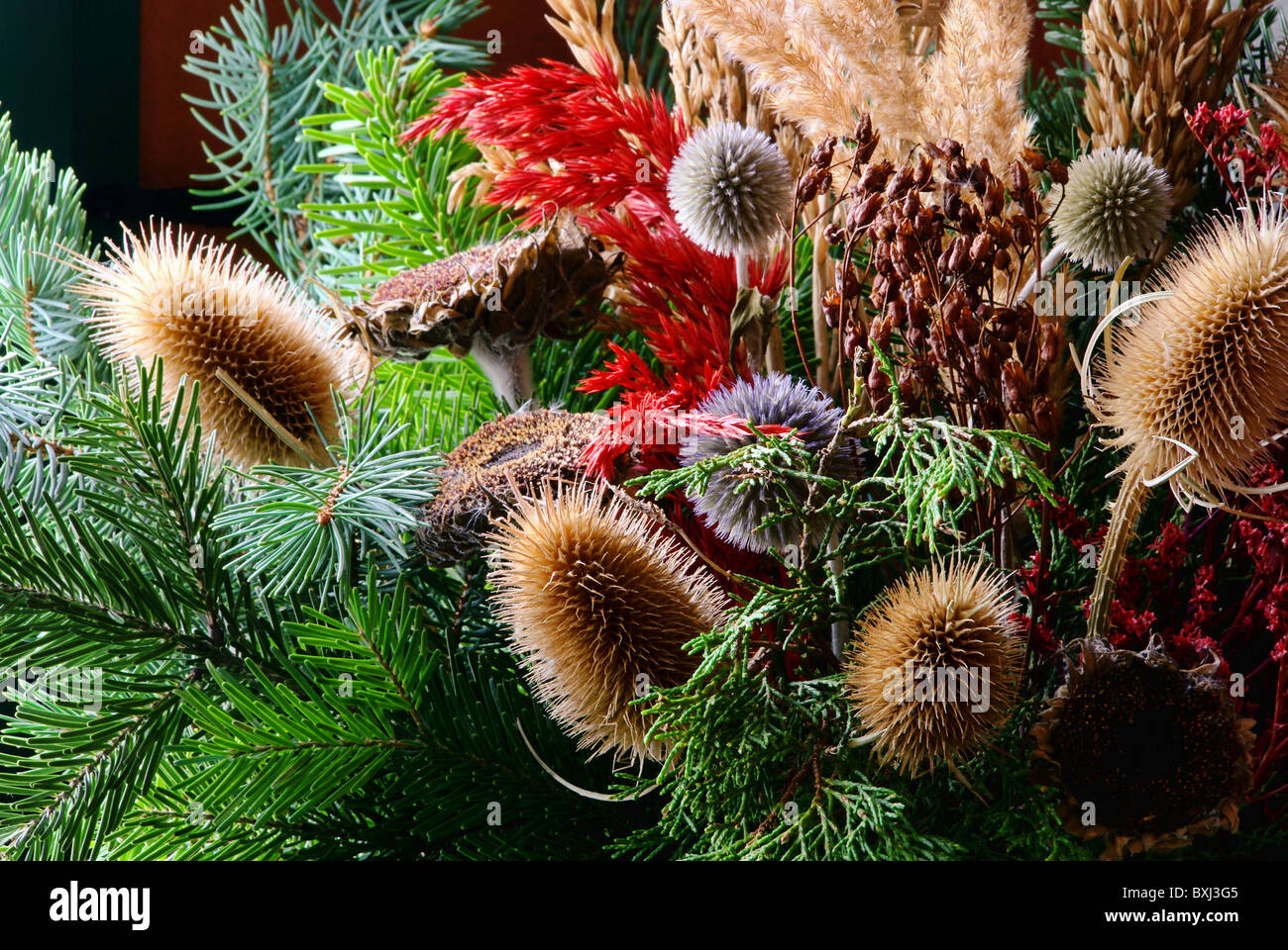 Trockenstrauss - secchi bouquet di fiori 02 Foto Stock