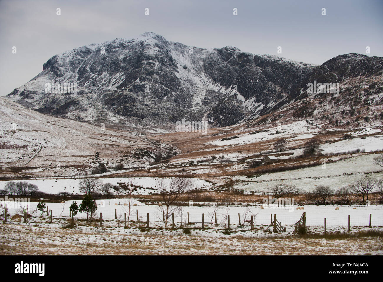 Cadair Idris mountain, Gwynedd snowdonia national park north Wales UK Foto Stock