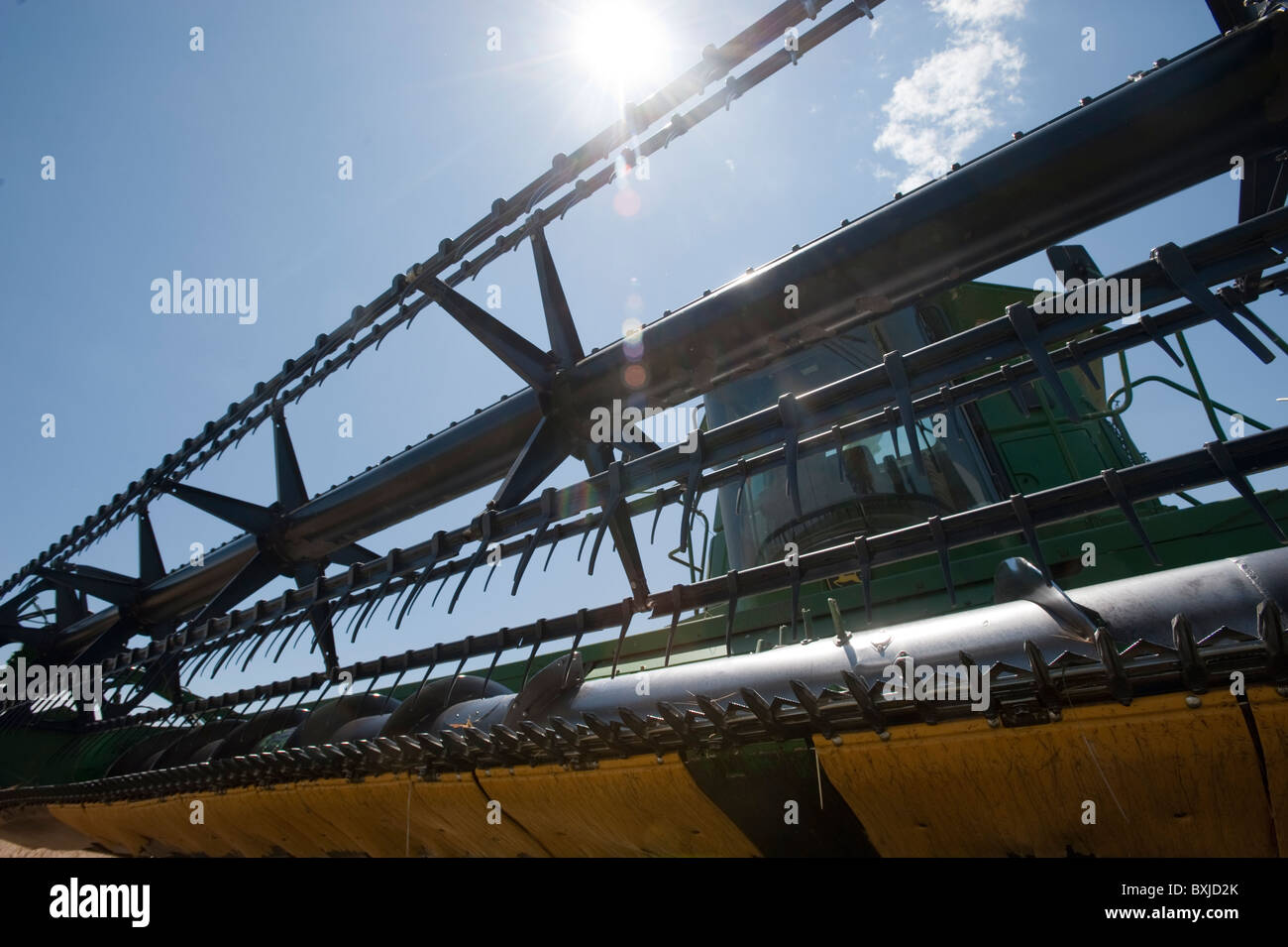 Harveser mietitrebbia Foto Stock