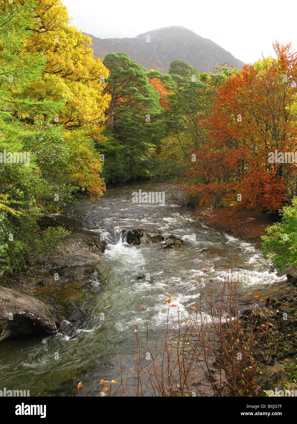 Coe del fiume e i colori autunnali visto dal ponte di coe, glencoe village, regione delle Highlands, Scotland, Regno Unito. Foto Stock