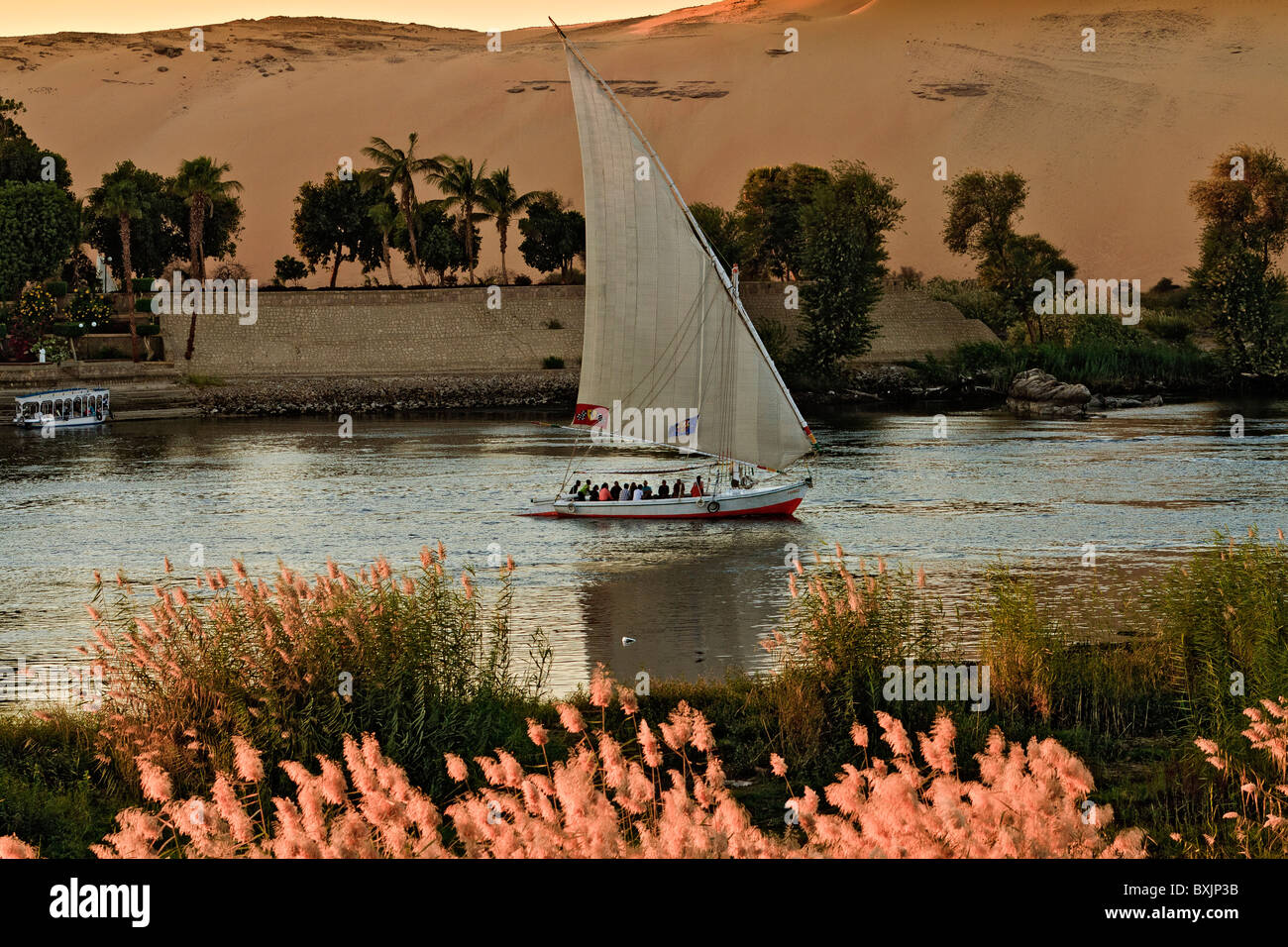 Egitto Aswan Fiume Nilo vicino al tramonto Foto Stock