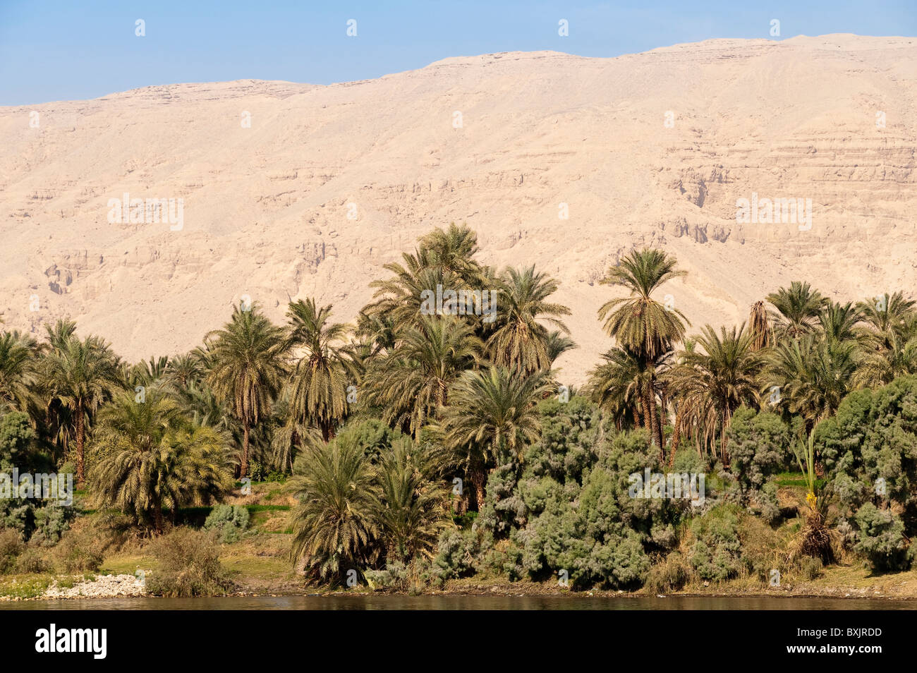 Egitto. Date palme e dune di sabbia lungo il Nilo. Foto Stock