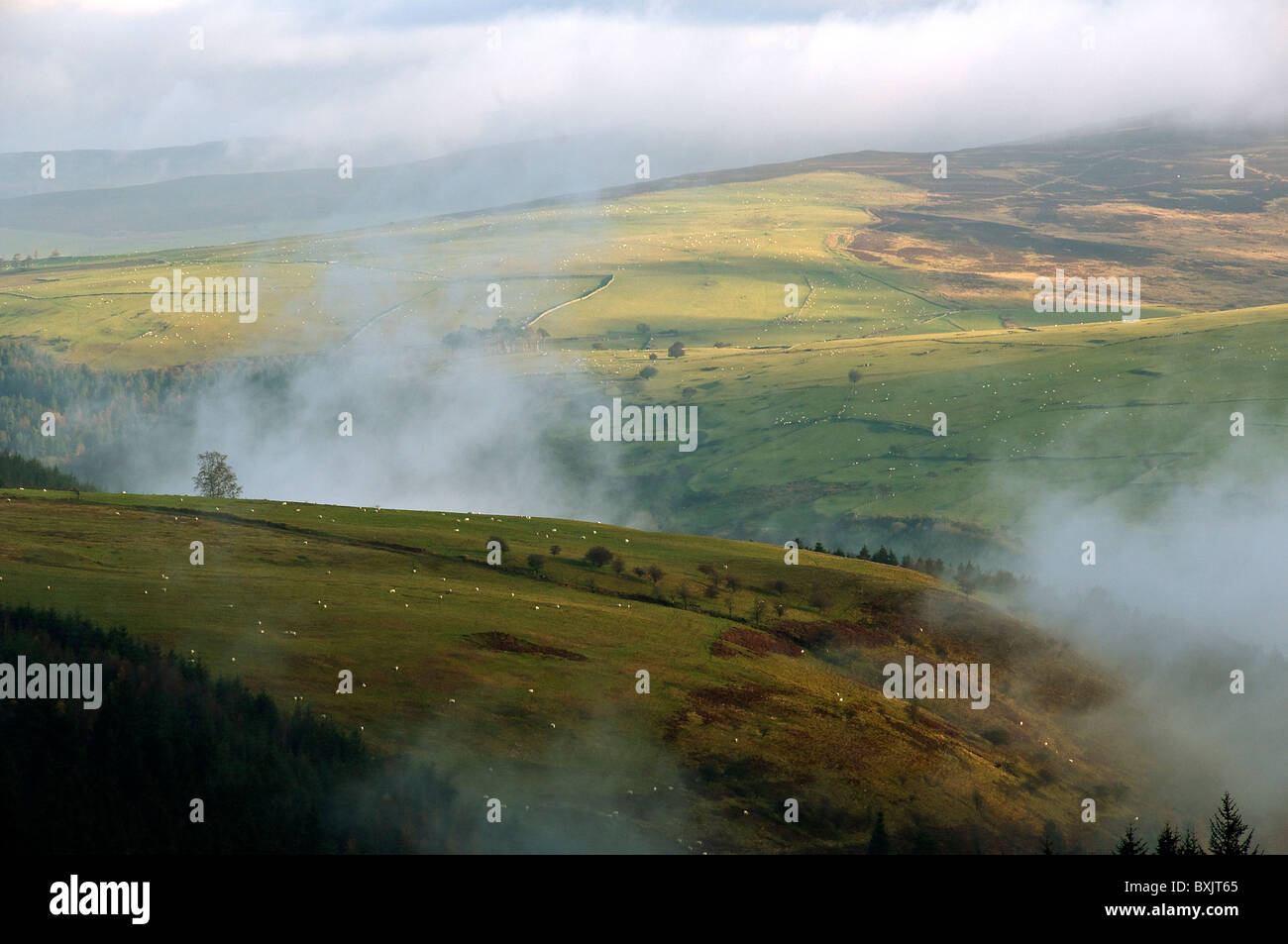 Misty Hills Snowdonia campagna North Wales UK Foto Stock