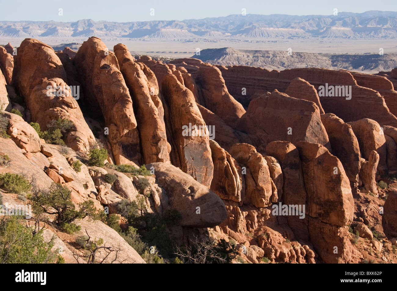 Elk289-1783 Utah, il Parco Nazionale di Arches, il Giardino del Diavolo, alette di arenaria Foto Stock