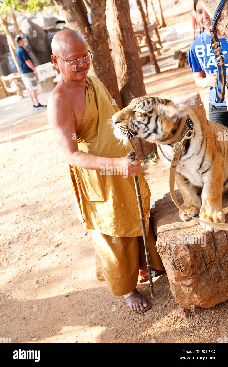 L'Abate petting le tigri a Tiger (tempio Wat Pha Luang Ta Bua) Foto Stock