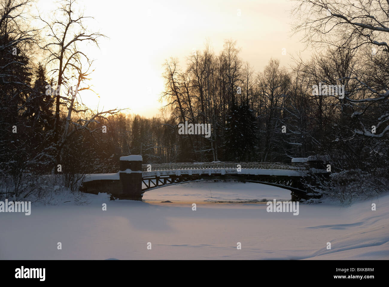 Paesaggio invernale con il fiume e il ponte, snow-capped Foto Stock