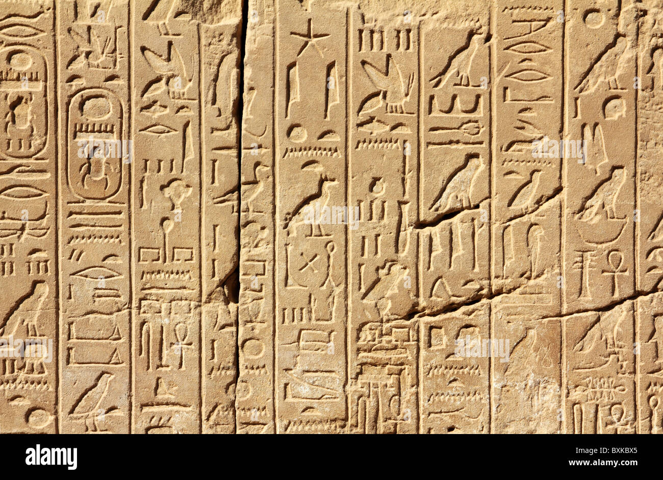 Antico Egitto i geroglifici sul muro nel tempio di Karnak Foto Stock