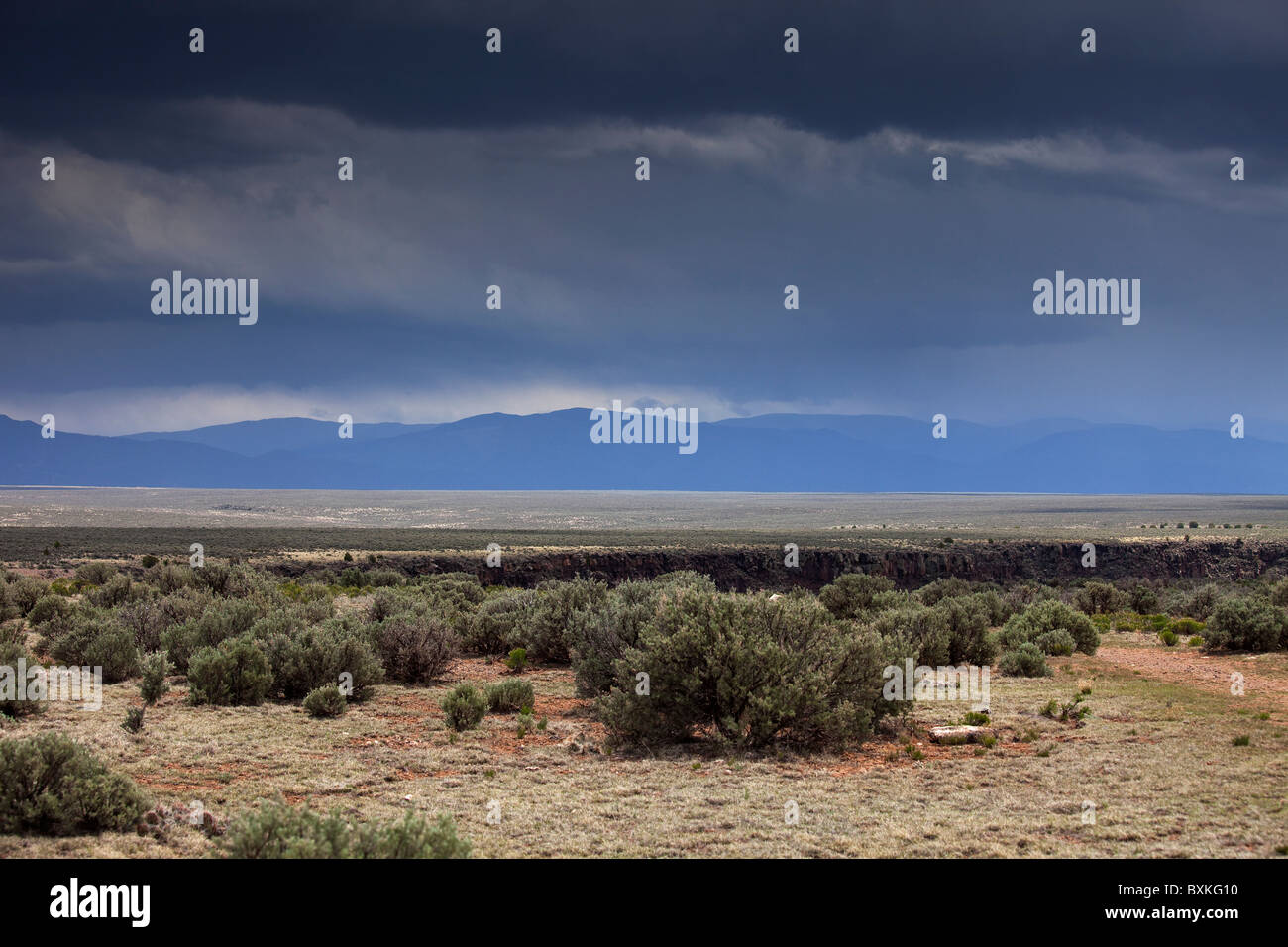 Rio Grande Gorge, Taos, Nuovo Messico, STATI UNITI D'AMERICA Foto Stock