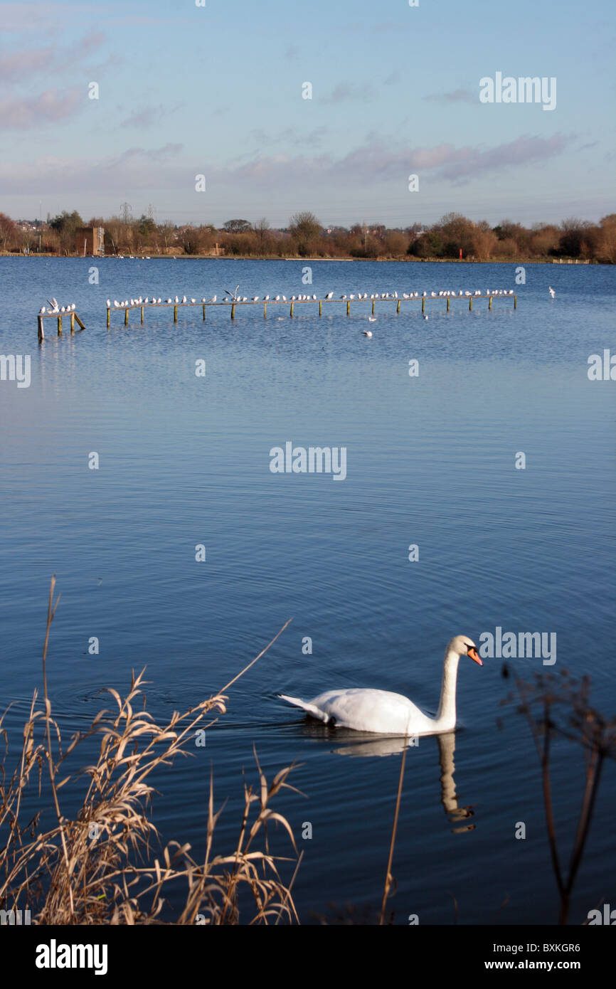 Sandwell Valley Park Foto Stock