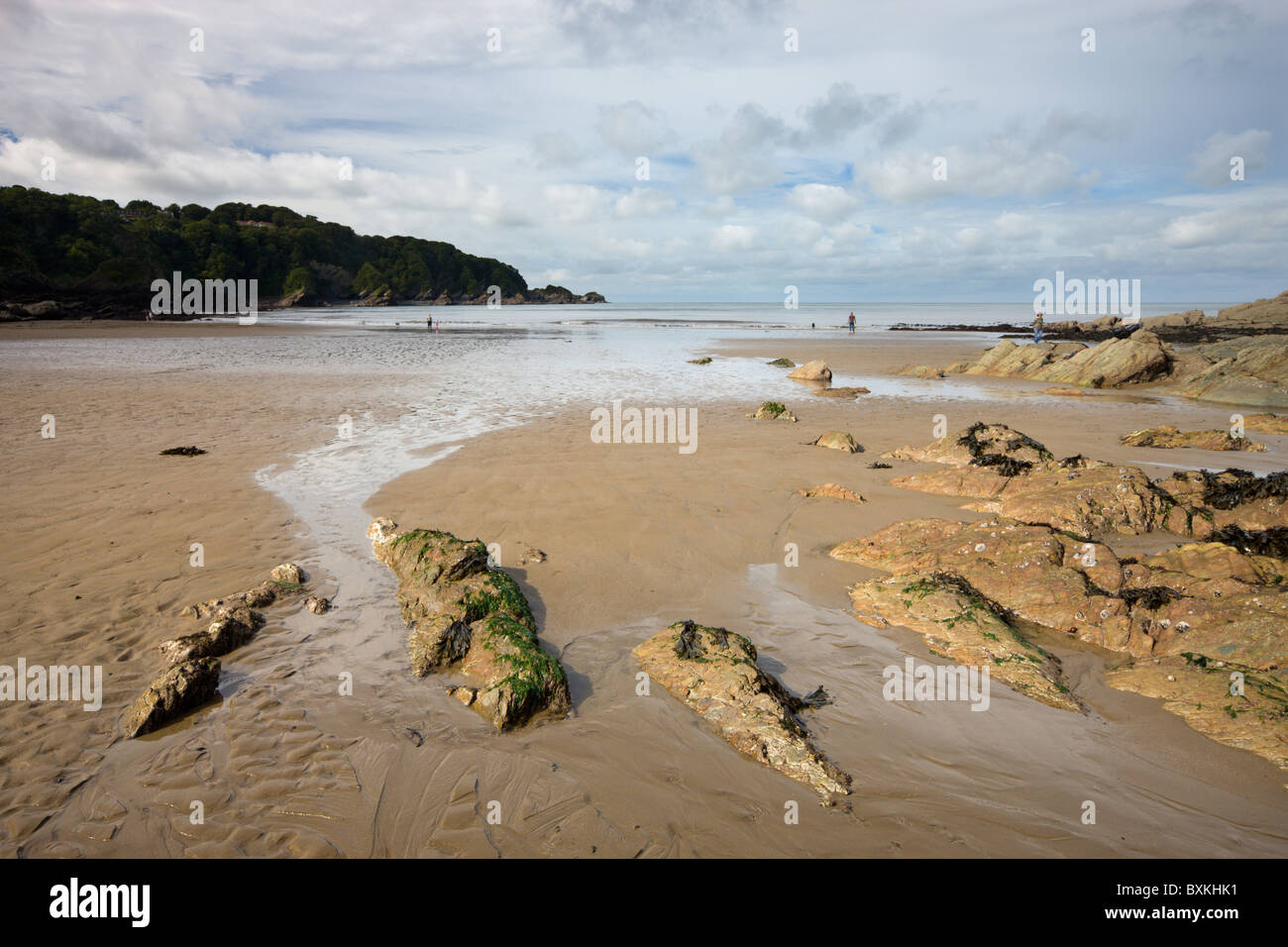 Parco Nazionale di Exmoor Foto Stock