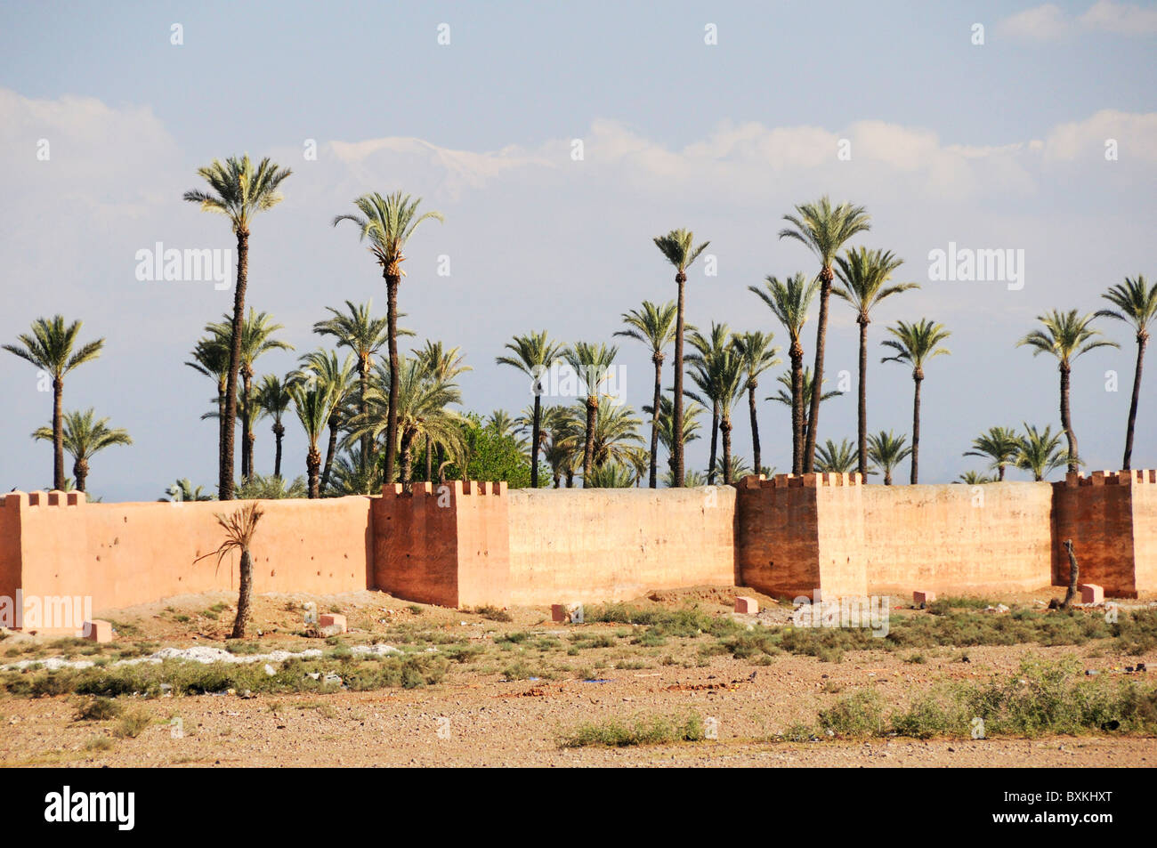 Le pareti del giardino con palme e vista in lontananza montagne Atlas a Giardini dell'Agdal Foto Stock