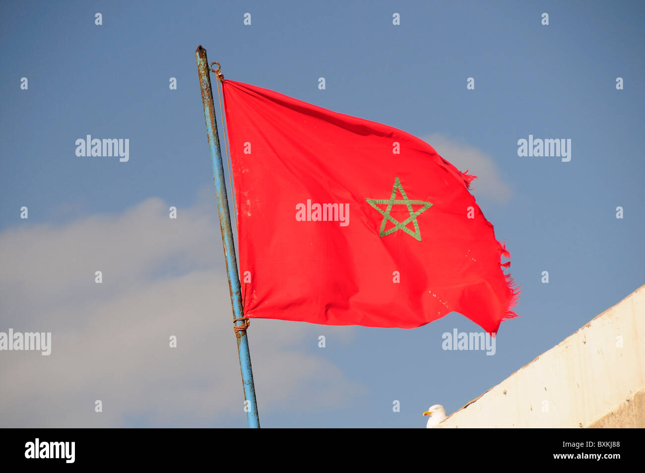 Bandierina marocchina Foto Stock