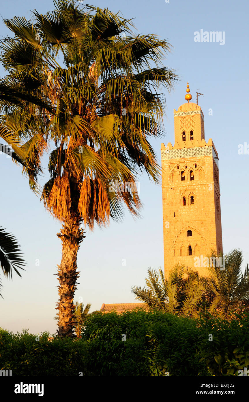 La Moschea di Koutoubia minaret con palme Foto Stock
