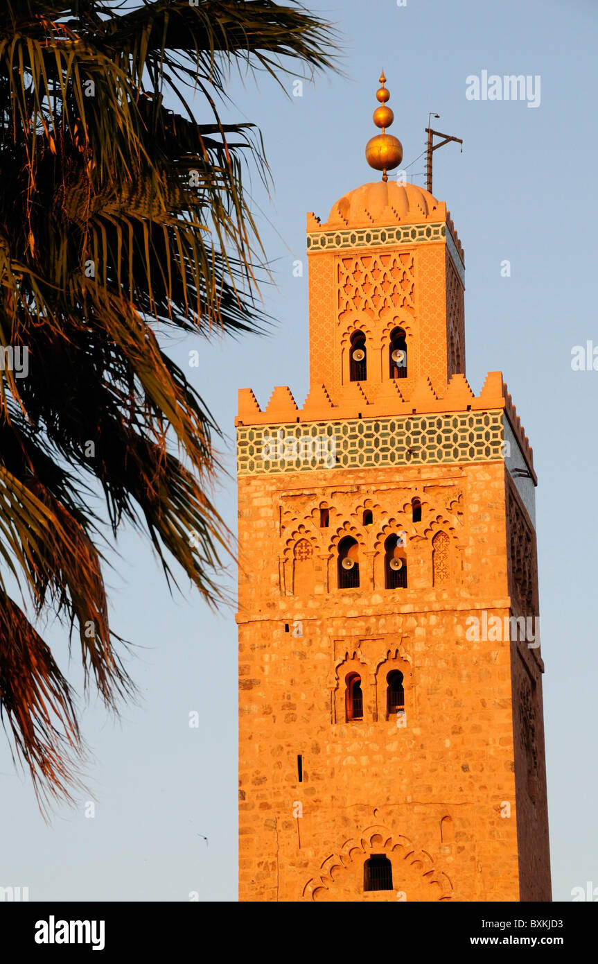 La Moschea di Koutoubia minaret con palm Foto Stock