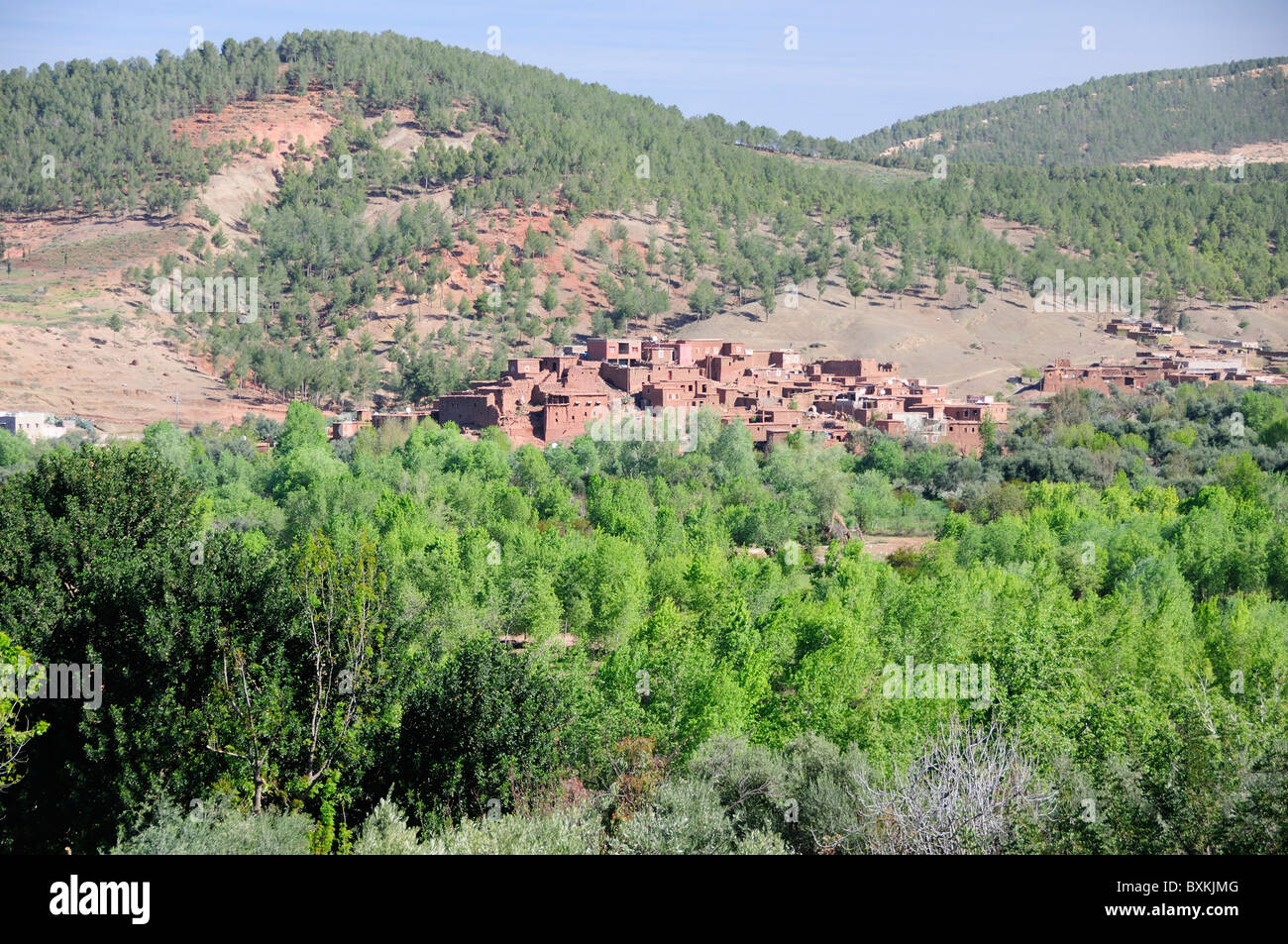 Villaggi lungo la valle di Ourika, nr Tnine Foto Stock