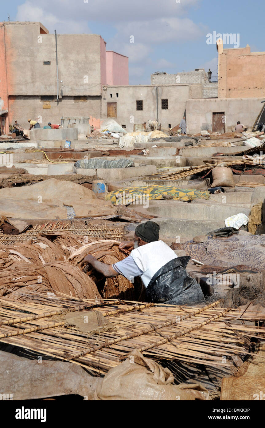 Tini di conceria con il lavoratore pounding pelli su Rue Bab Debbagh in Marrakech Foto Stock