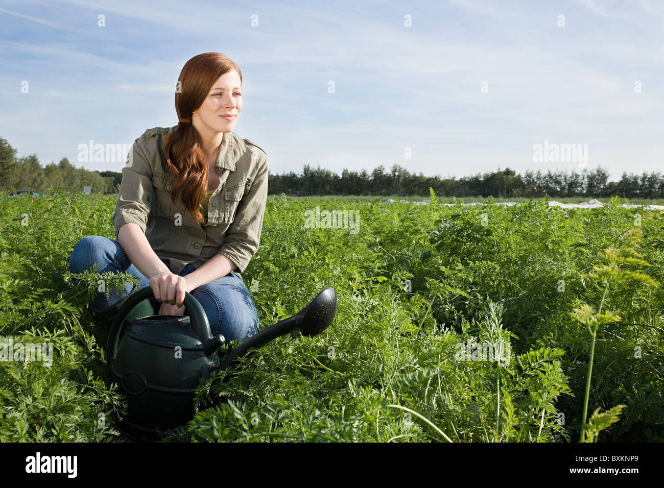 Donna di raccolto di irrigazione in campo con annaffiatoio Foto Stock