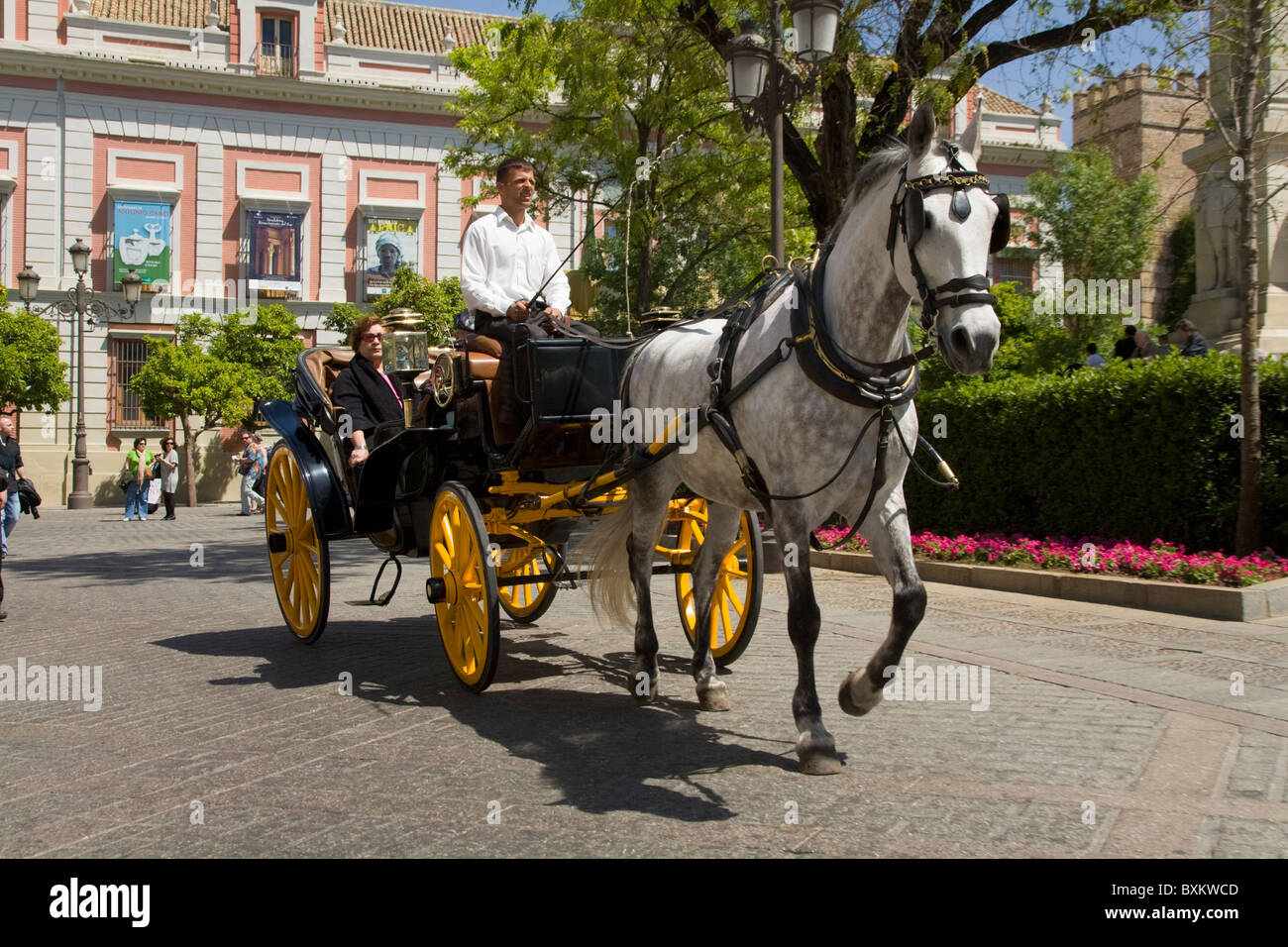 Trotto Cavallo traina il carrello e turisti. Plaza del Triunfo, davanti Diputacion de Sevilla, Casa de la Provincia. Siviglia Spagna Foto Stock