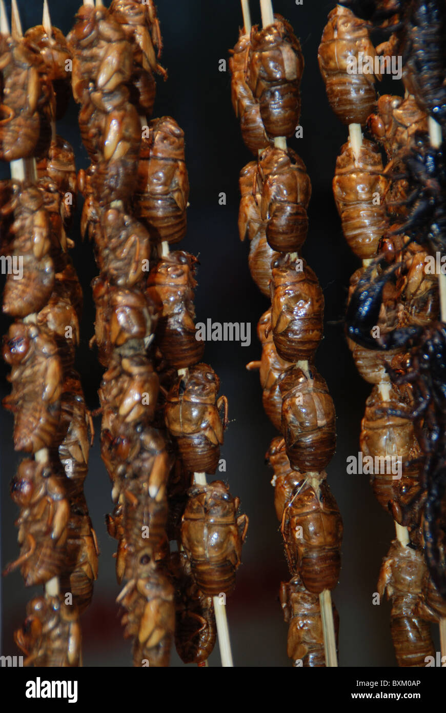 Mercato alimentare, scorpioni, coleotteri, Wangfujing Street, Pechino, Cina Foto Stock