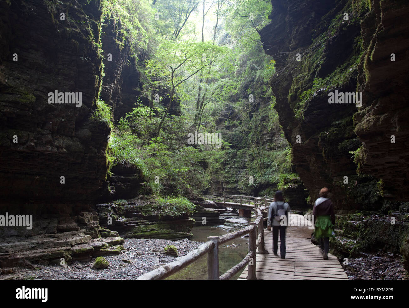 Trekking a piedi lungo un bordo a piedi attraverso una profonda gola nel sud del margine delle montagne Qinling in Cina. Foto Stock