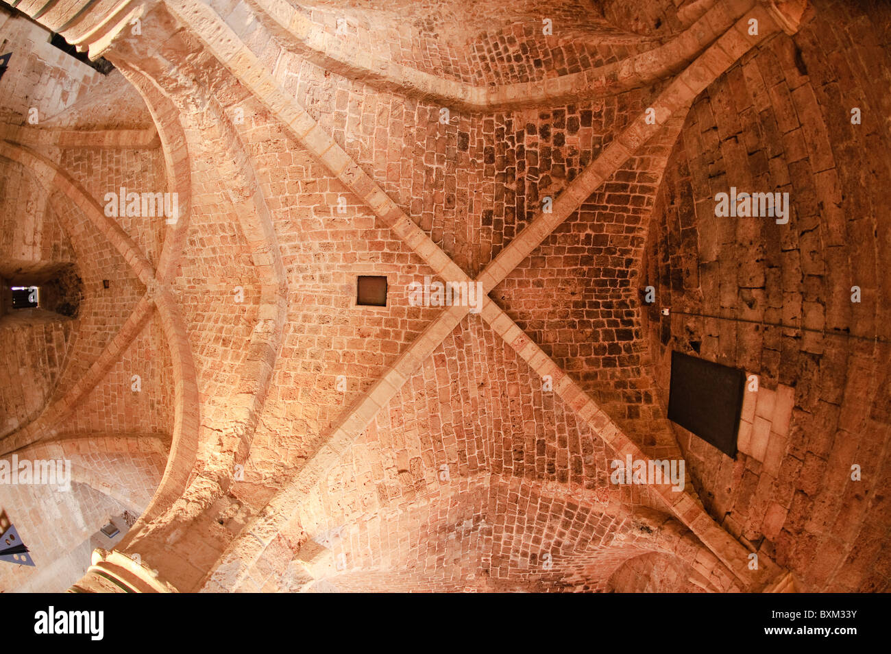 Israele Akko. Sala dei cavalieri. Foto Stock