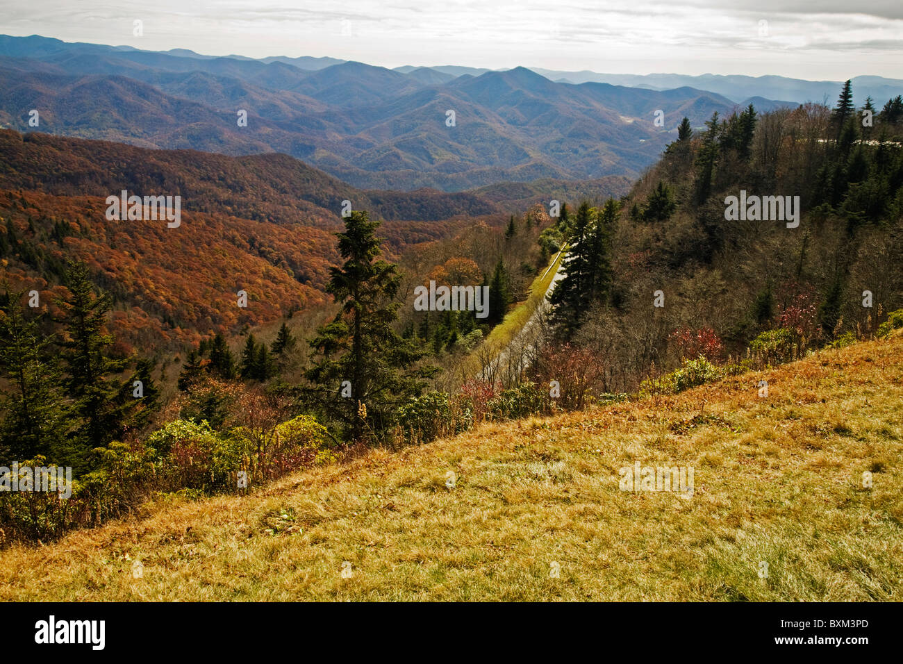 In autunno, Blue Ridge Parkway, NC Foto Stock