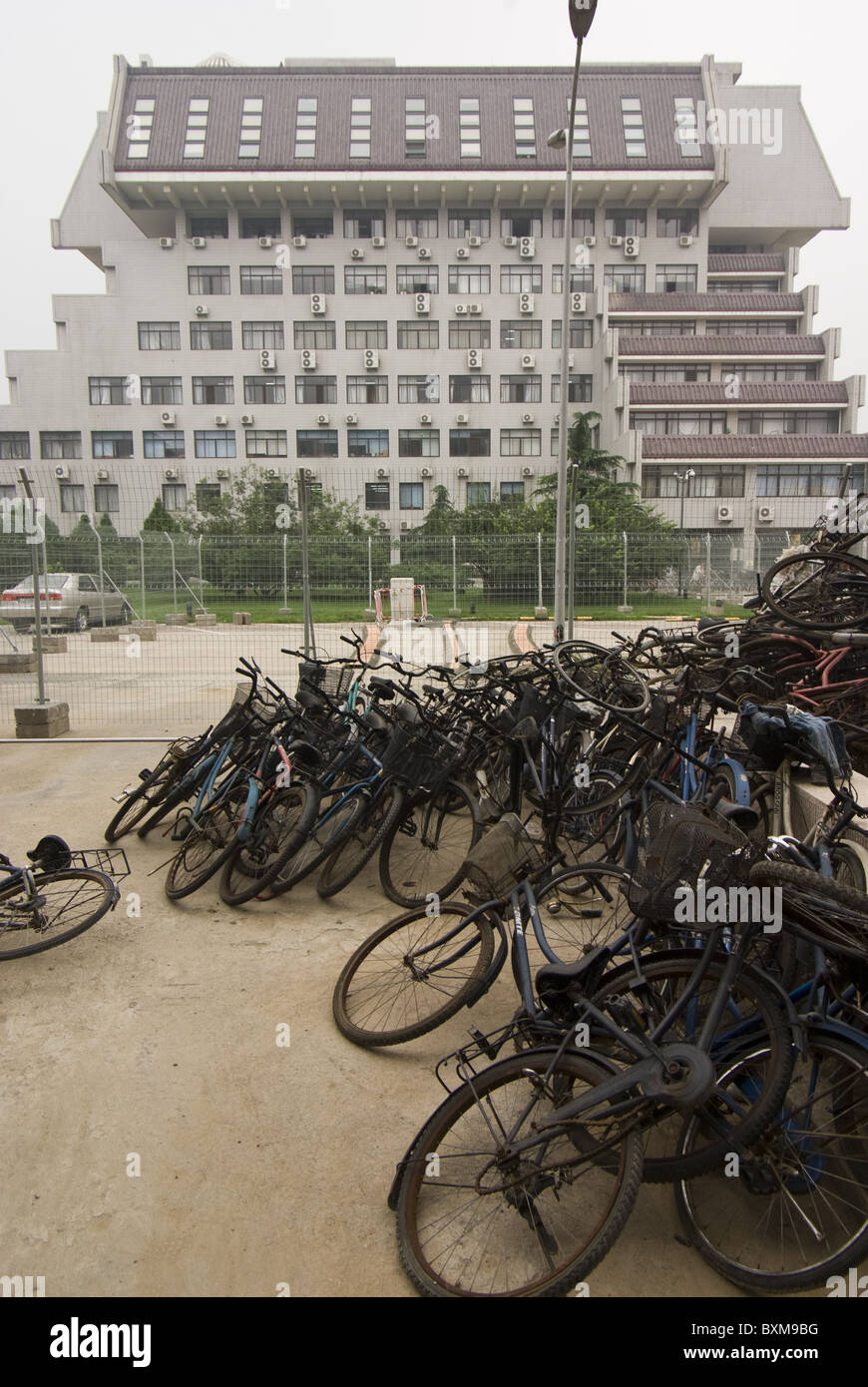 Biciclette a Pechino university a Pechino, Cina Foto Stock